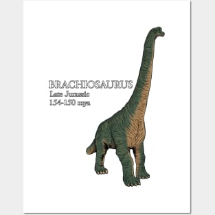 Realistic drawing of brachiosaurus Posters and Art